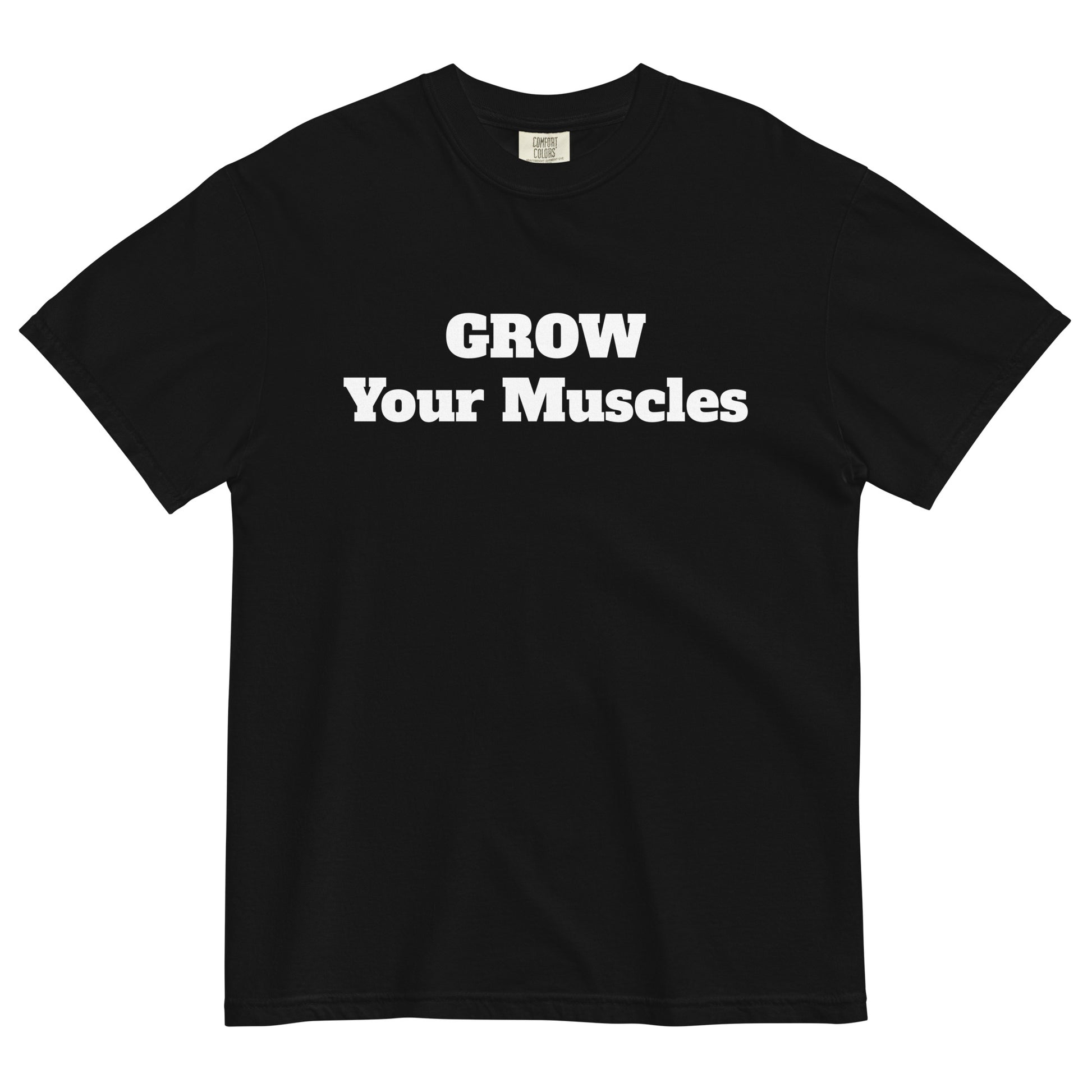 unisex-garment-dyed-heavyweight-t-shirt-black-front-3-657d4381c062a - men tshirts - tshirts - graphic tees - gym - muscles - turtlepanda